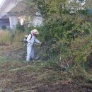 죽림족구장 이미지