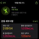 [용인] 새벽 테니스 “보평 실내 테니스” 이용 후기