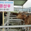 고광덕농장 연합뉴스