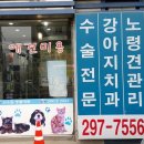 서수원동물병원