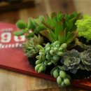 대산큰별작은도서관 이미지