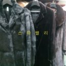 스타명품세탁 Daum카페