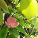 정원목장 이미지