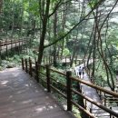 거창 항노화 힐링랜드 자연휴양림 이미지