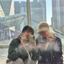 썸데이A | [부산] 2025 썸데이 페스티벌 부산 양일 후기(벡스코 커피, 주차, 타임테이블, 엔플라잉, 유다빈밴드...