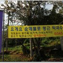 장가네막국수