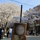 부니기 | 합정 희우정로 카페 벚꽃길 바로 옆, 부니기 (방문일, 테라스 풍경)