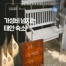 안면도위드유 이미지