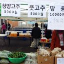 성주면사무소 이미지