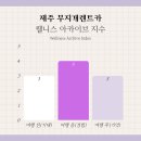 무지개크리닝 | 제주 무지개렌트카 셔틀, 반납 2박 3일 내돈내산 솔직 후기