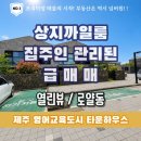 파란공인중개사사무소 | 제주 영어교육도시 상지카일룸 로얄동 개인 매물 매매