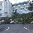 산타펜션 이미지