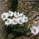 마음여행 이야기 이미지