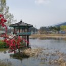 죽동체육공원 이미지