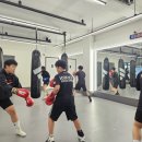 성지 복싱짐 이미지