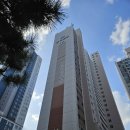 부곡대우아파트 | [NEW탄성코트]부산탄성 - 부산 부곡 대우아파트 리모델링 탄성코트