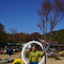 산정랜드 티스토리