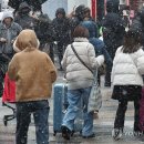 101 이미지