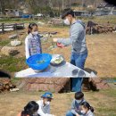 중앙채소