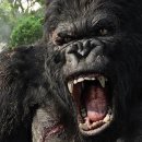 킹콩 이미지