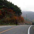 신흥목장 이미지