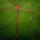 (주)화인 이미지