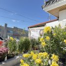 금송식육식당 이미지