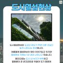 폴리도시