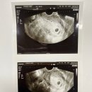 참산부인과여성의원 이미지