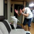 내야내야 똥강아지 이미지