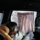 11500-13-41-101 | |연말 여행| 공주는 공주로 떠난다! 🫶🏻🎄(12월에 간 국내 여행)