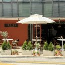 페피트 | 강남 데이트 코스! 청담 파스타 맛집 페피트 런치 다녀온 후기