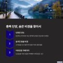 5월 황금연휴 몰리는 여행지 피하는 법, 역발상 여행 코스 추천
