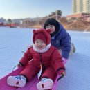 [여행] 오크밸리리조트 눈썰매장 아이와 함께 솔직 후기