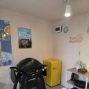 밀키스테이 이미지