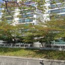 몰운대아파트 인근