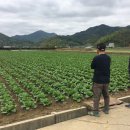 주식회사 우주랑 이미지