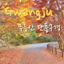 부산시민등산아카데미15기 제161차 국립공원 무등산 인왕봉 산행 &amp; 무등산 최고의 단풍명소 원효사 계곡단풍 트레킹 이미지