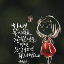 바라기와 버리기 이미지