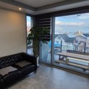 사궁두미 479 이미지