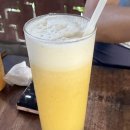 타라호텔 | 아카타라호텔 누사페니다섬 항구에서 가까운 가성비호텔