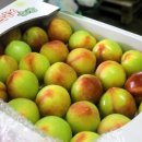 유구농장 이미지