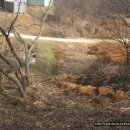 국일농장 이미지