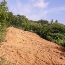 법전면사무소 이미지