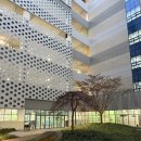 서천동 | 용인 빵 맛집 기흥 서천동 베이글트리 방문후기