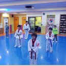 신세계태권도장 이미지