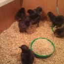 지산농장 이미지