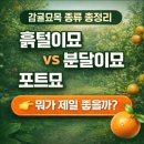 민성유통