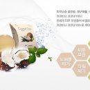 코코비나 이미지