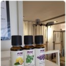 굿라인의원 | 금호동필라테스 개인레슨 전문센터 다녀온 후기